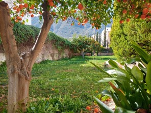 Jardín